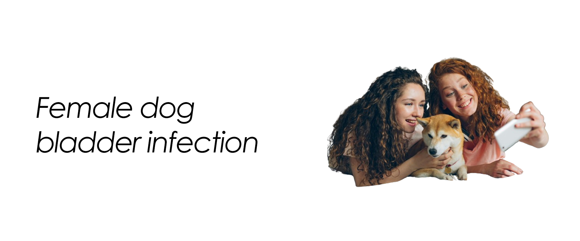 Female dog bladder infection