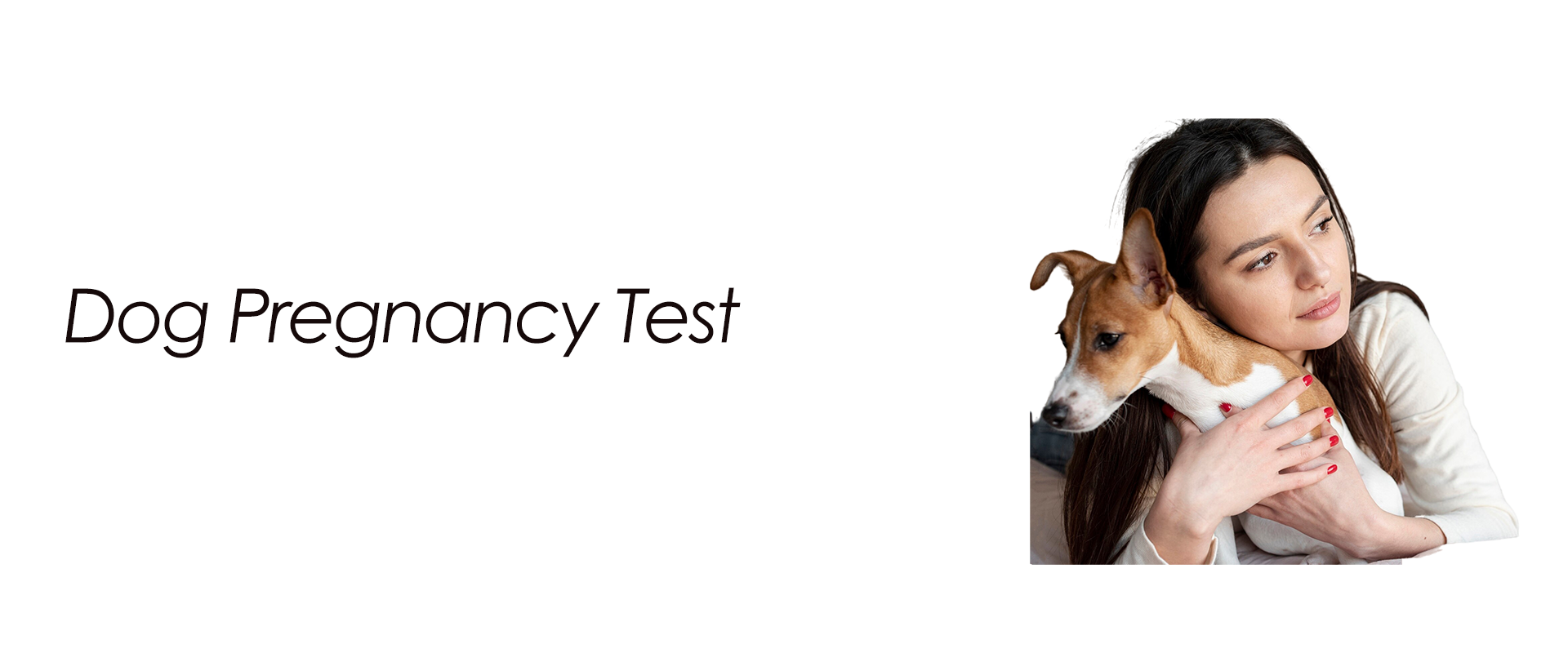 Dog Pregnancy Test